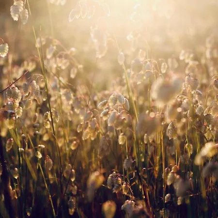 The Lighthouse Arrifana Kwatera prywatna *