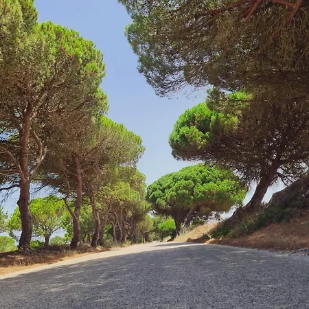 Kwatera prywatna The Lighthouse Arrifana