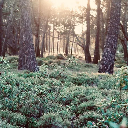 The Lighthouse Arrifana Quarto em Acomodações Particulares