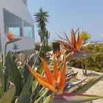The Lighthouse Arrifana Homestay szállás Aljezur